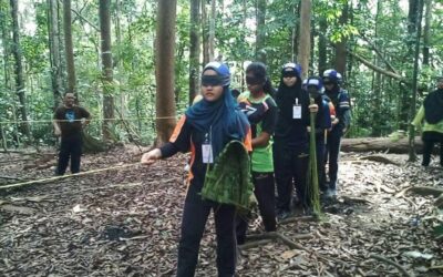 Pakej Lengkap Power Team Dewasa - Sarang Musang Pakej Lengkap Power Team Dewasa - Sarang Musang