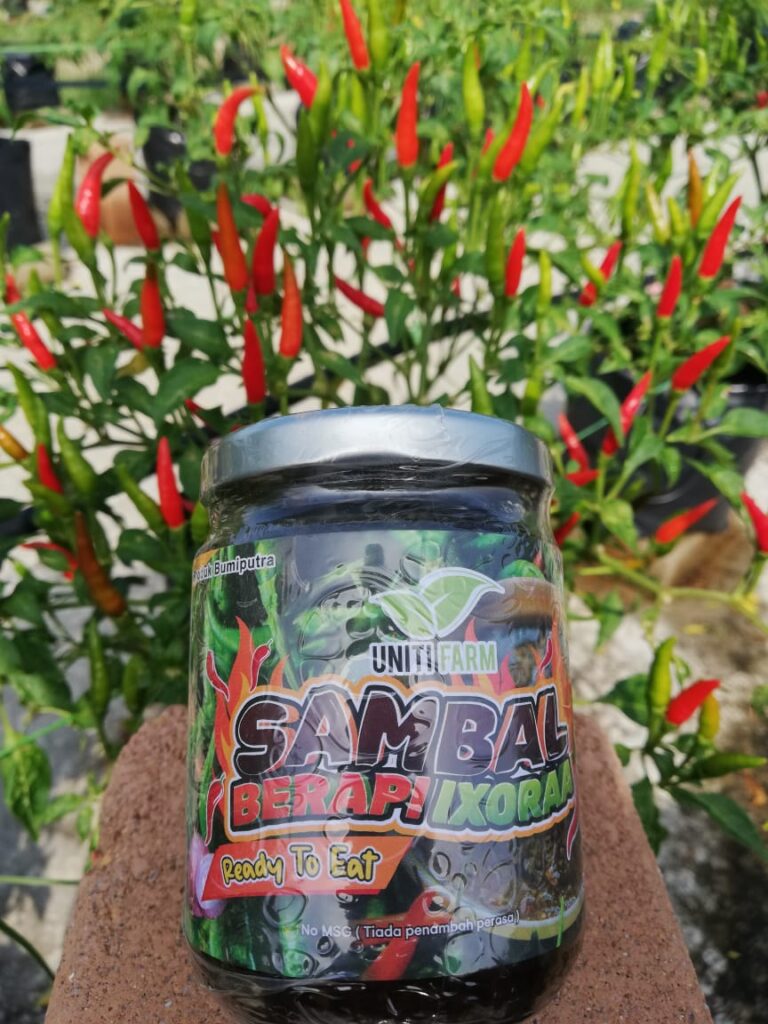 pdcamp-sambal-berapi-ixora (2)