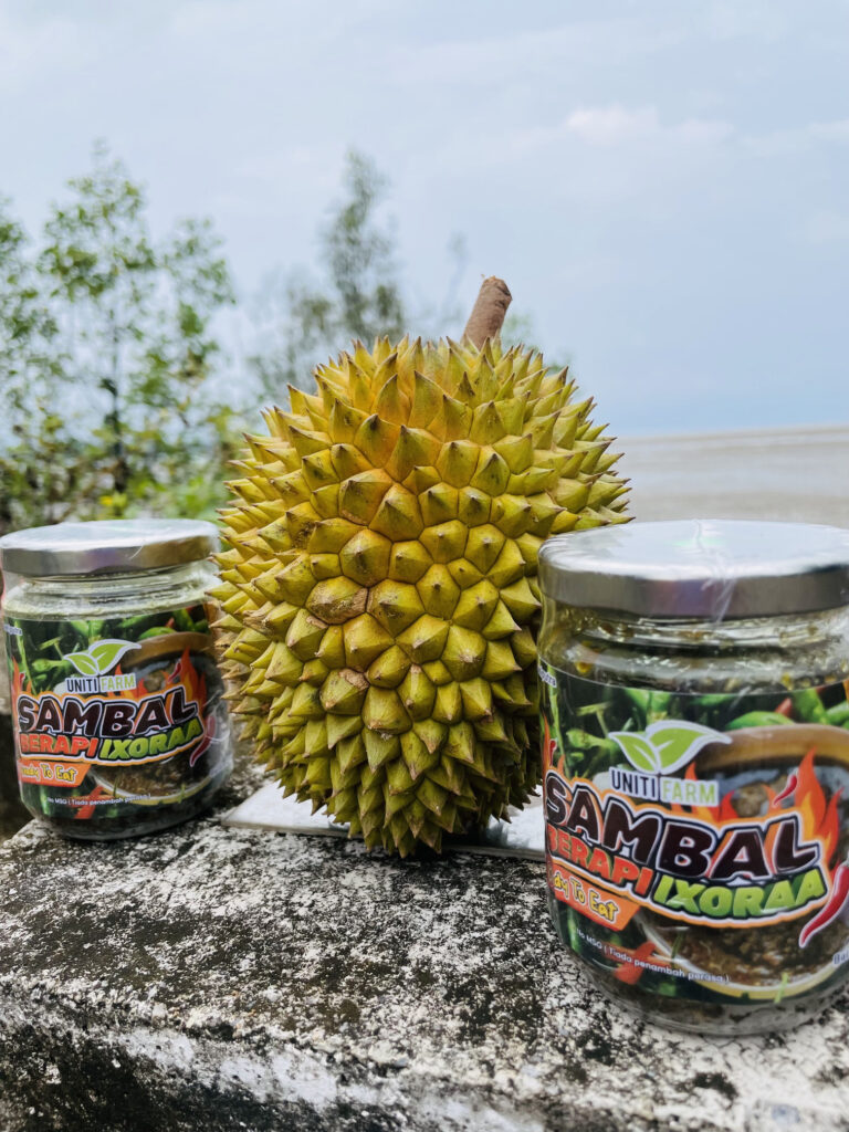 pdcamp-sambal-berapi-ixora (4)