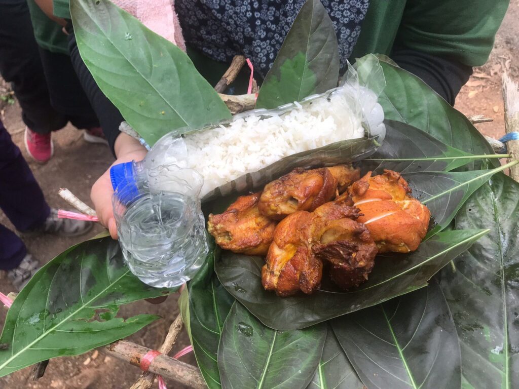 pdscamp-jungle-experience (1)