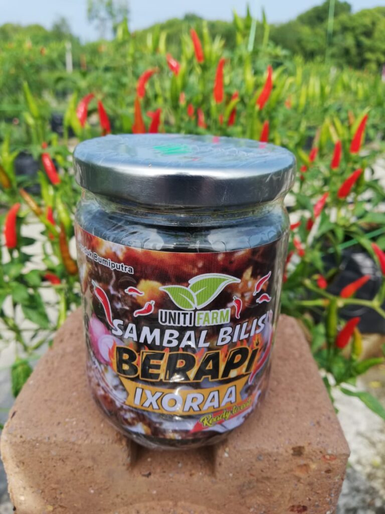 pdscamp-sambal-berapi-bilis-berapi-ixora (1)