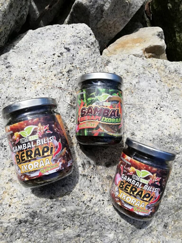 pdscamp-sambal-berapi-bilis-berapi-ixora (4)
