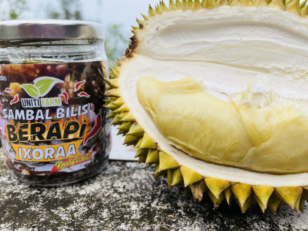 pdscamp-sambal-berapi-bilis-berapi-ixora (7)-min