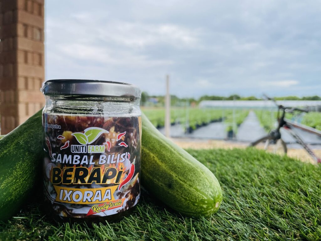 pdscamp-sambal-berapi-bilis-berapi-ixora (8)-min